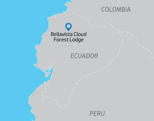 Bellavista Cloud Forest Lodge Extension