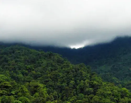 Bellavista Cloud Forest Lodge Extension