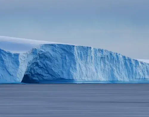 Antarctic Peninsula: An Immersive Odyssey | Ocean Nova