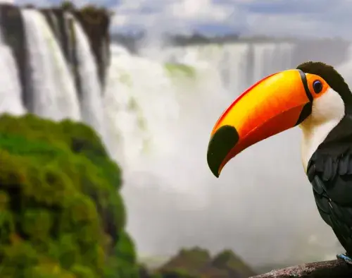 Signature South America - Lima to Santiago