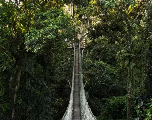Peru Amazon Extension | Inkaterra Reserva Amazonica