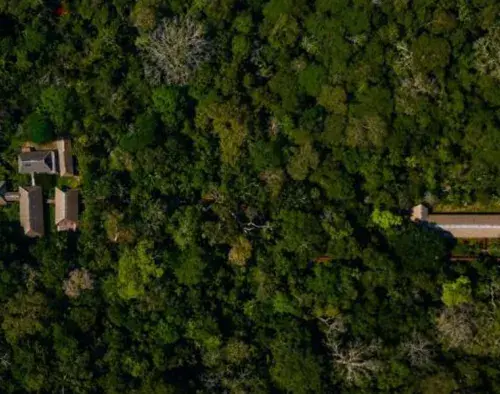 Peru Amazon Extension | Tambopata Research Centre
