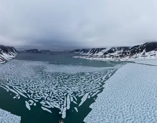 Svalbard Odyssey 2027 | Sylvia Earle