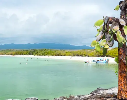 Galapagos Island Hopping - 4 Day