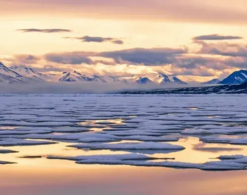 Iceland & East Greenland: Through the Lens | Sylvia Earle
